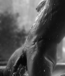 monochrome males 5c51d6a241b37.jpg