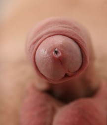 pics of dicks 5c58a70395db6.jpg
