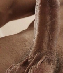 pics of dicks 5c58a72148d10.jpg