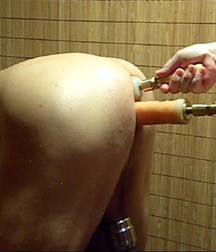today's pics 0002 5c5c6e0d7ea72.jpg
