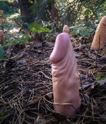 today's pics 0003 5c60394b308d4.jpg