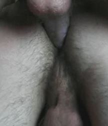 today's pics 0004 5c6039ee57c0c.jpg