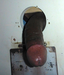 meat 5c603c859cb3e.jpg