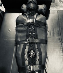 leather bound 5c656bd03256b.jpg