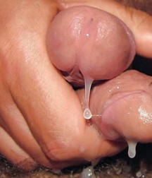 pecker pics 5c700252cd269.jpg