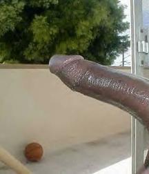 pecker pics 5c7002562f225.jpg