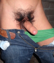 hardon hotties 5c7537719d70a.png