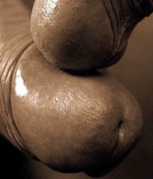 pix mix 320 5c7e94eb32fd3.jpg