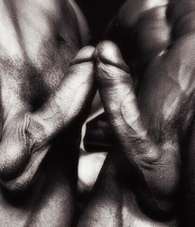 Friday's fixations 5c8284465316e.jpg