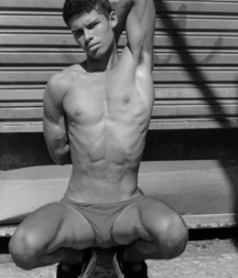shirtless wonders 2 5c8faaaa8c33e.png