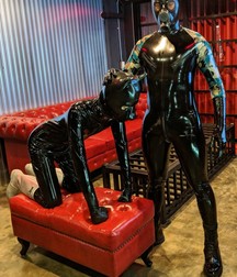 puppy power 5c90e5e0ba8b7.jpg