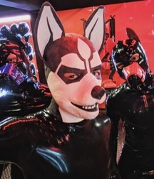puppy power 5c90e5eaa0daf.jpg