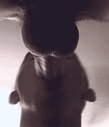 daily mix 3026 5c9a1fd884922.gif