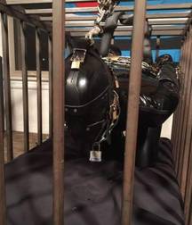 extreme kinkiness 5caf5f3e7d359.jpg
