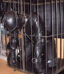 extreme kinkiness 5caf5f5a42006.jpg