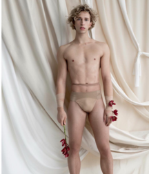 twink 5cb8e78693531.png