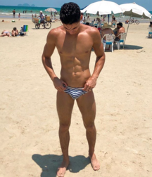 swim meat 5cca48554aacb.png