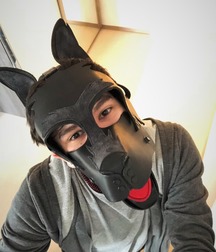 woof 5cd37b486c018.jpg