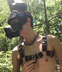 woof 5cd37b4cf2de0.jpg
