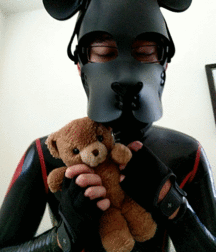 woof 5cd37b5209bea.gif