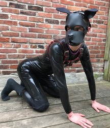 woof 5cd37b58505d7.jpg