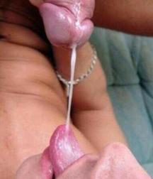 creamy 5cd9b4326b9ce.jpg