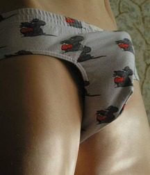 stuffed 5cef165b7dd6c.jpg