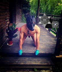  to the dogs 5cfe9e7e4947f.jpg
