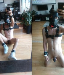  to the dogs 5cfe9e850ac8a.jpg