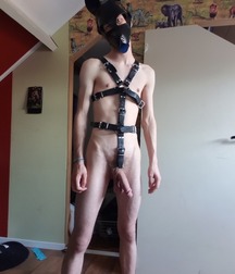  to the dogs 5cfe9e8c52d77.jpg