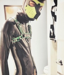  to the dogs 5cfe9e99bdc7c.jpg