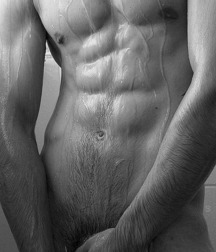 teasing twinkies 5d1e9b6d35066.jpg