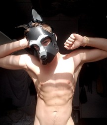 pups 5d30c60edf287.jpg