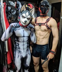 pups 5d30c61339156.jpg
