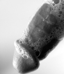 monochrome males 5d31d908788f4.jpg