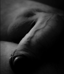monochrome males 5d31d909ae1db.jpg