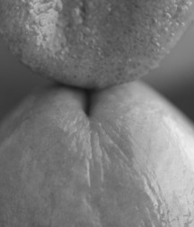 pix set 2 5d40df283f197.jpg