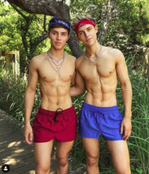 topless twinkies 5d4aeef3e9017.png