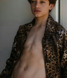 shirted twinkies 5d5d7299e394a.jpg