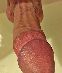 cocks close-up 5d67e81e5dbce.jpg