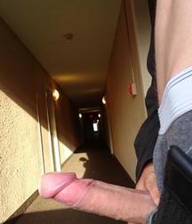 public show 5d693ade0bbcf.jpg