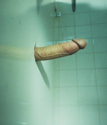 mix of pix 5d92885279624.jpg