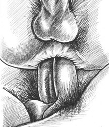 anal art 5d9b8c568d878.jpg