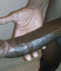 cocks 5db5a4ab6ac8b.jpg