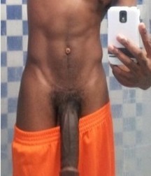 cocks 5db5a4bd7c930.jpg