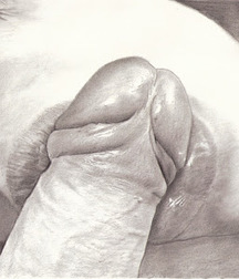 etchings 5ddd54ca865cf.jpg