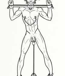 longhairs in art 5de91bbca1afb.jpg