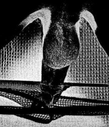 monochrome gay solos boy porn 5e1c8db14d580.jpg