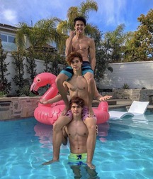 shirtless straight bros porn 5e6ce4986ef07.jpg