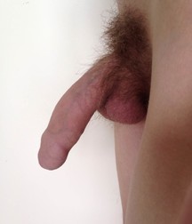 pubes on parade 5e7fd54b147f9.jpg